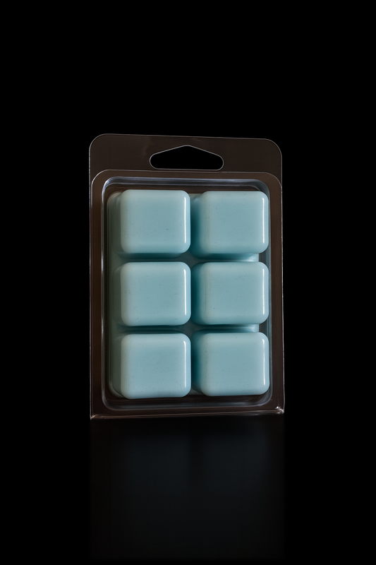 Salt & Shadows Wax Melt