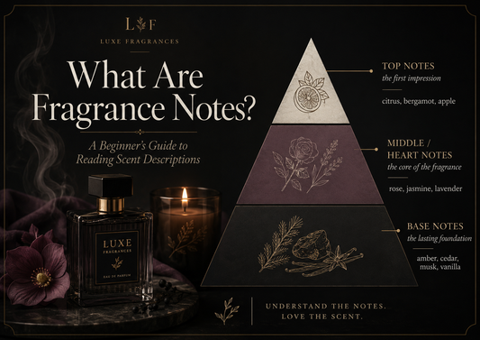 What Are Fragrance Notes? A Beginner’s Guide to Reading Scent Descriptions